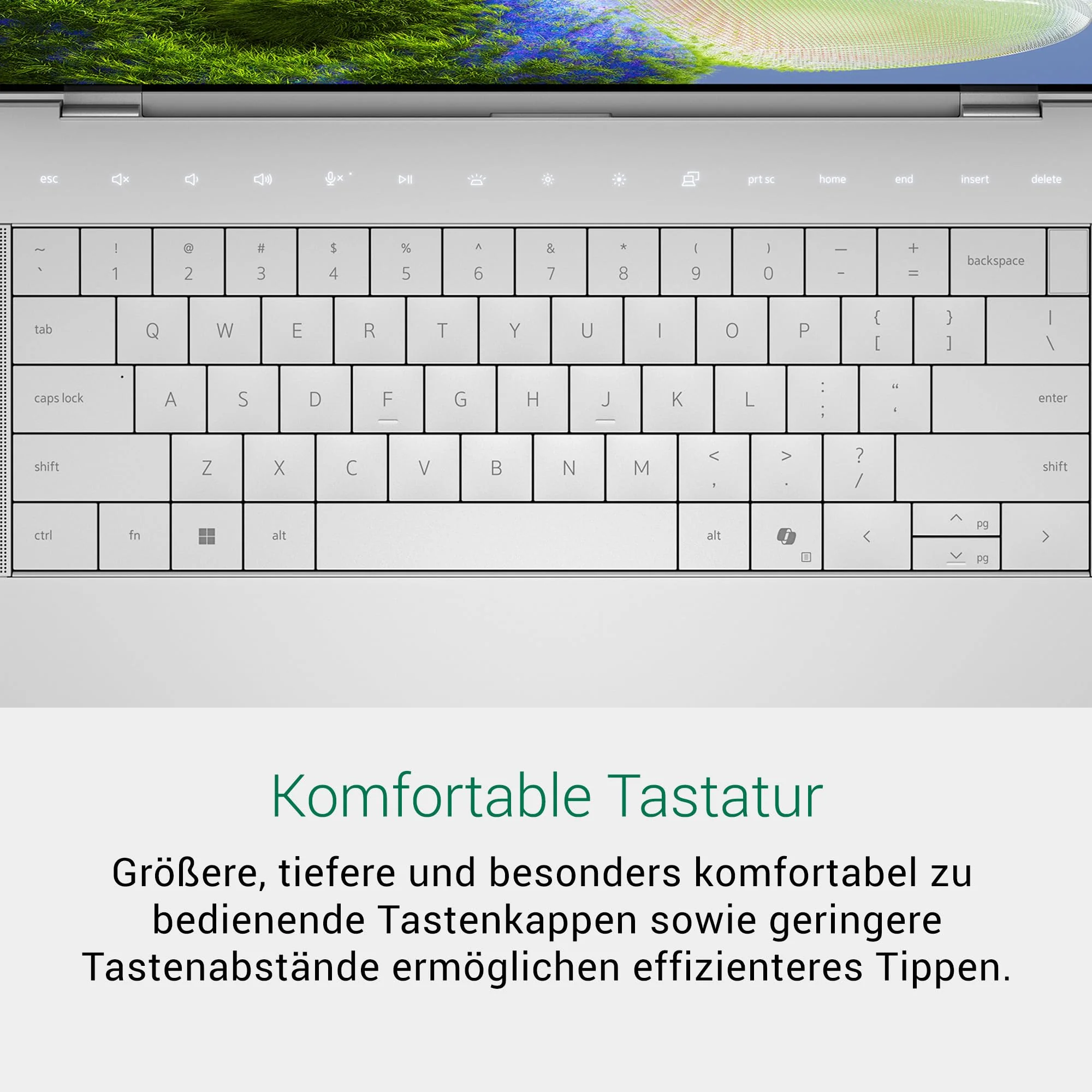 Vorschaubild 15