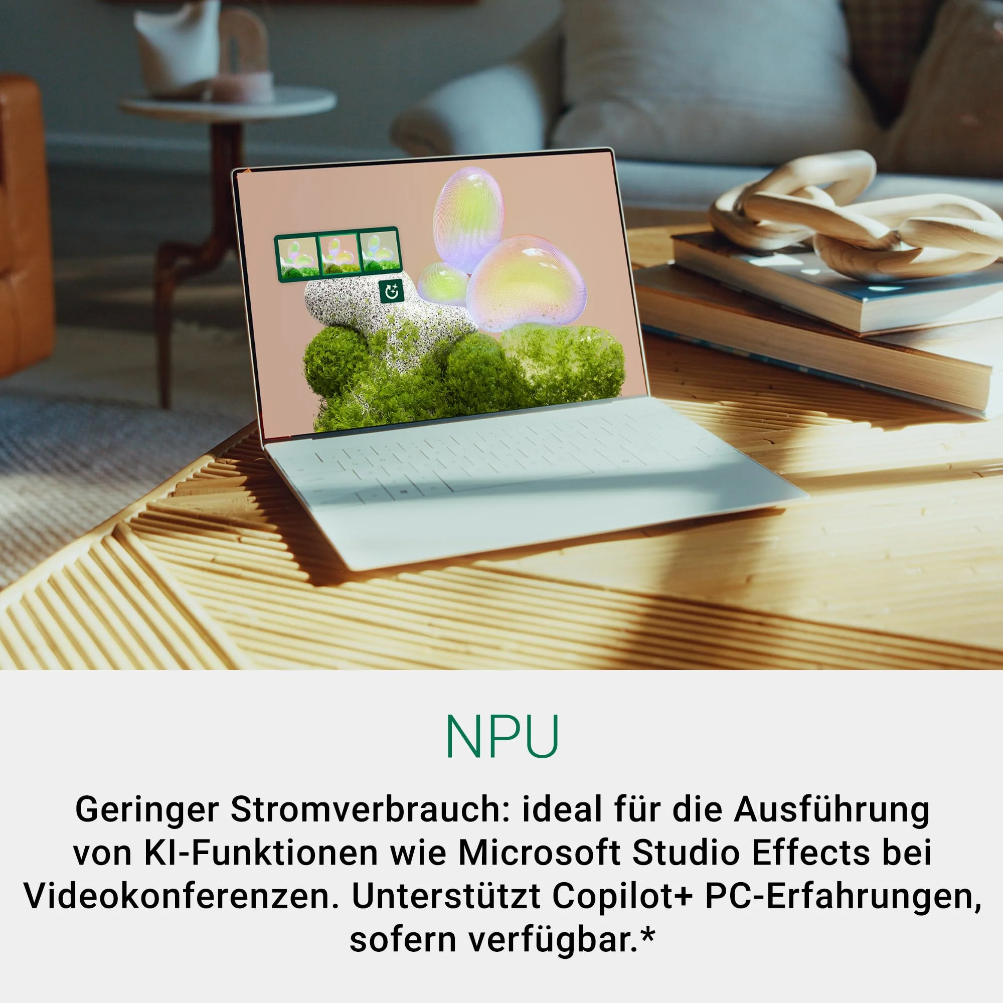 Vorschaubild 13