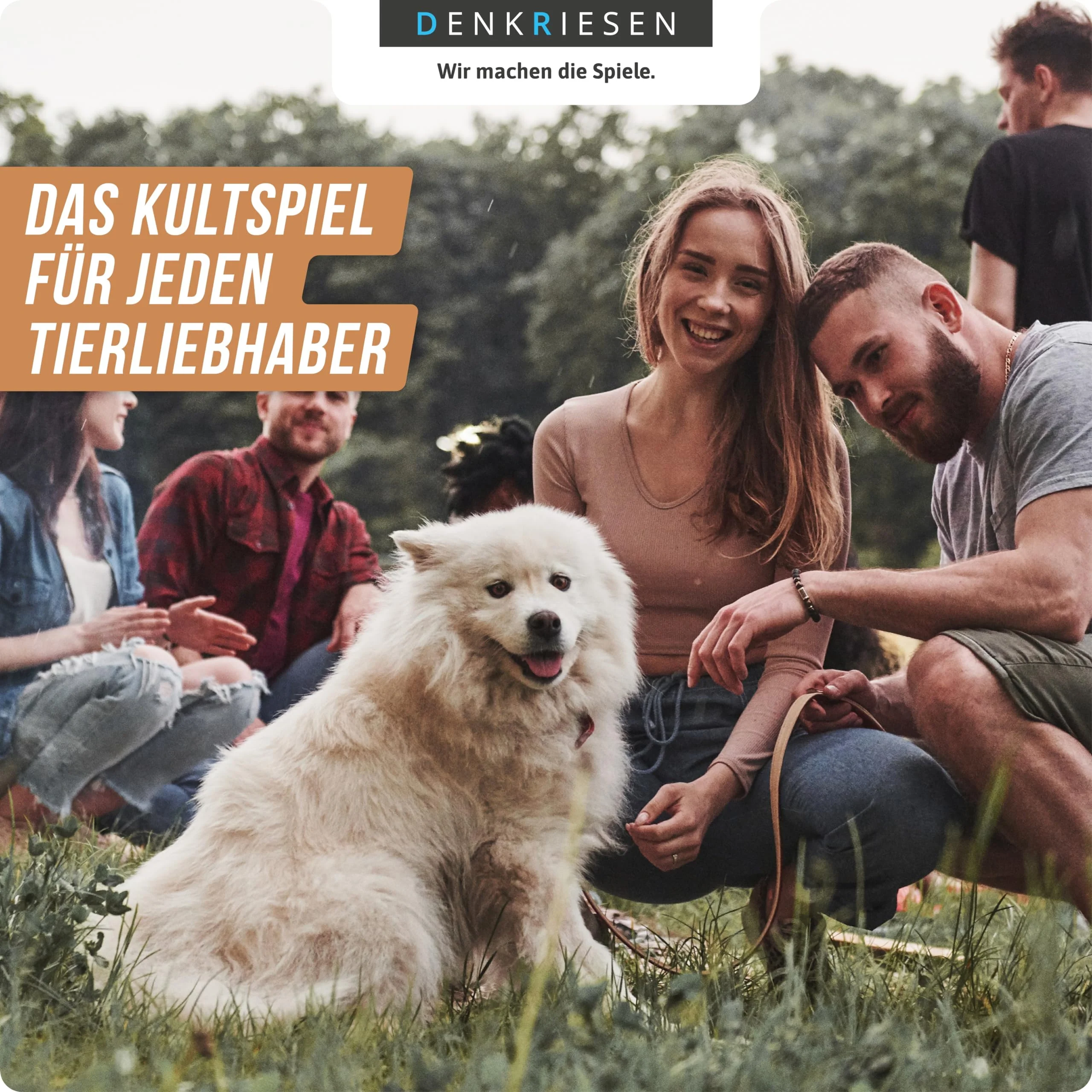 Vorschaubild 4