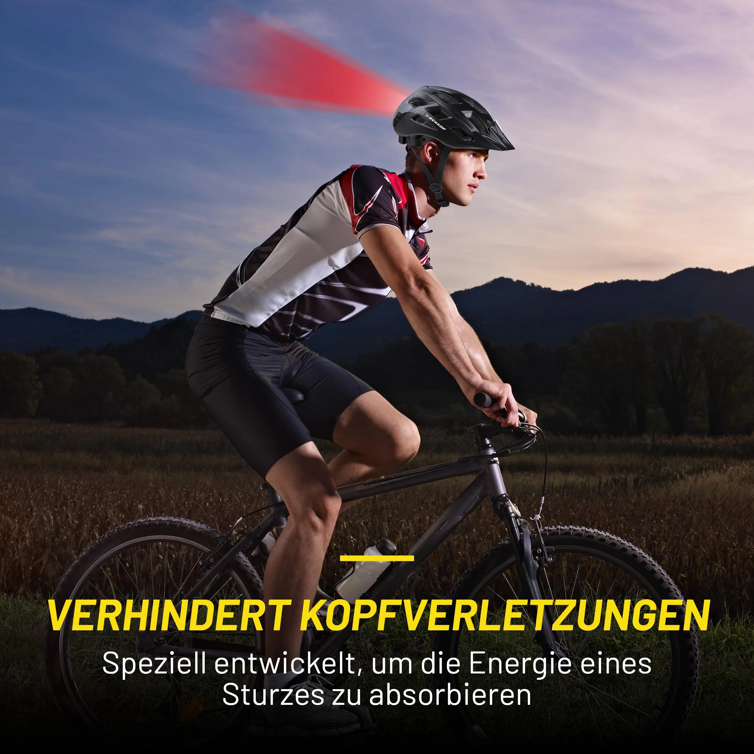 Vorschaubild 7