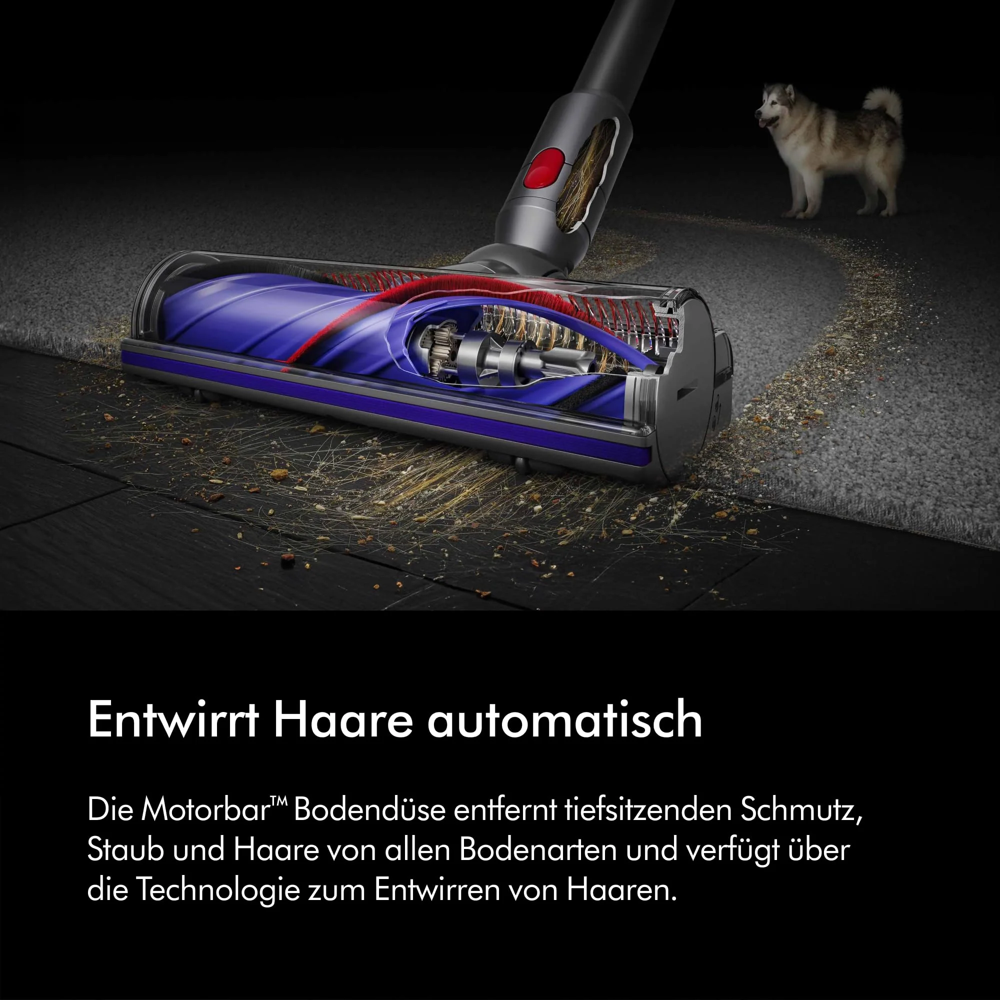 Vorschaubild 6