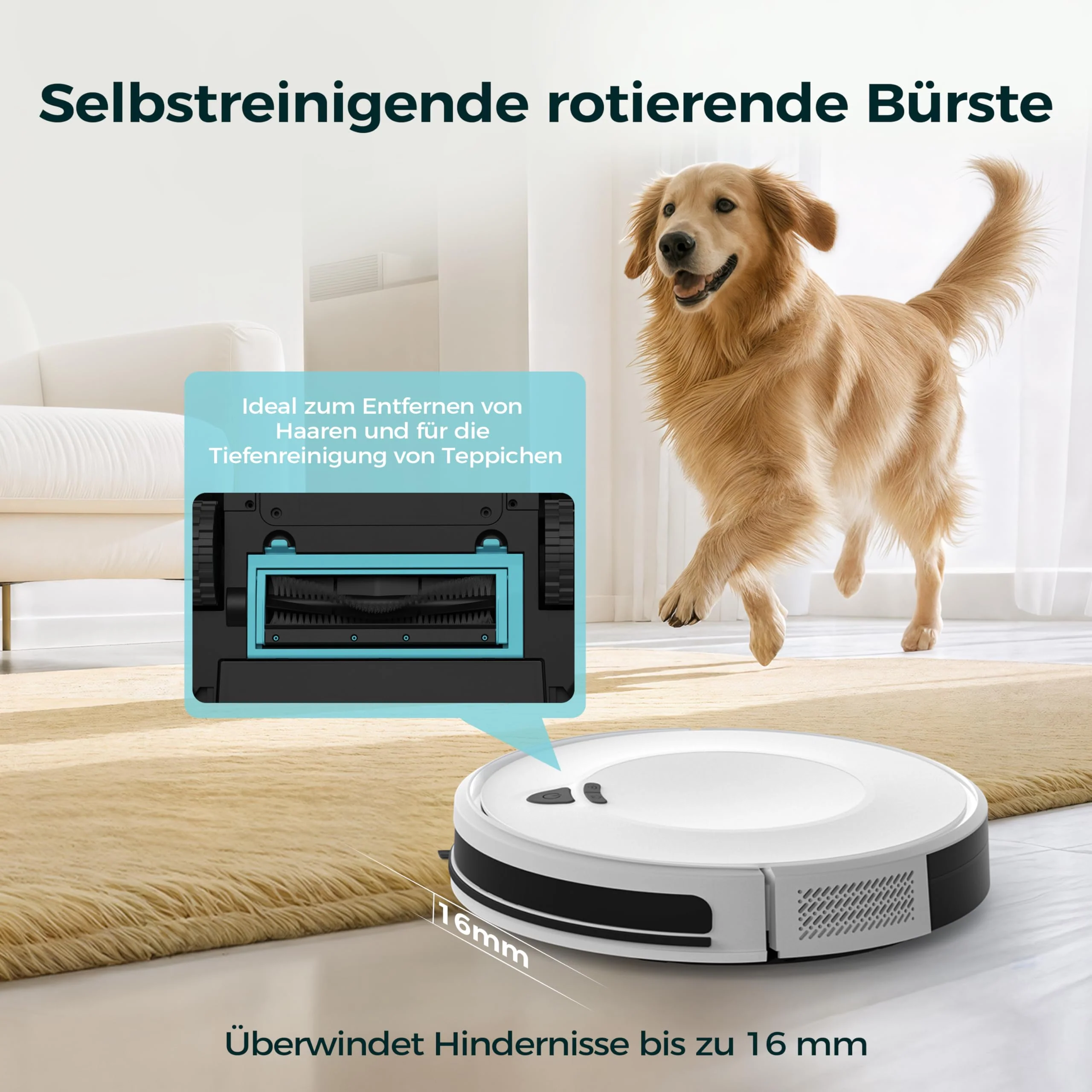 Vorschaubild 5