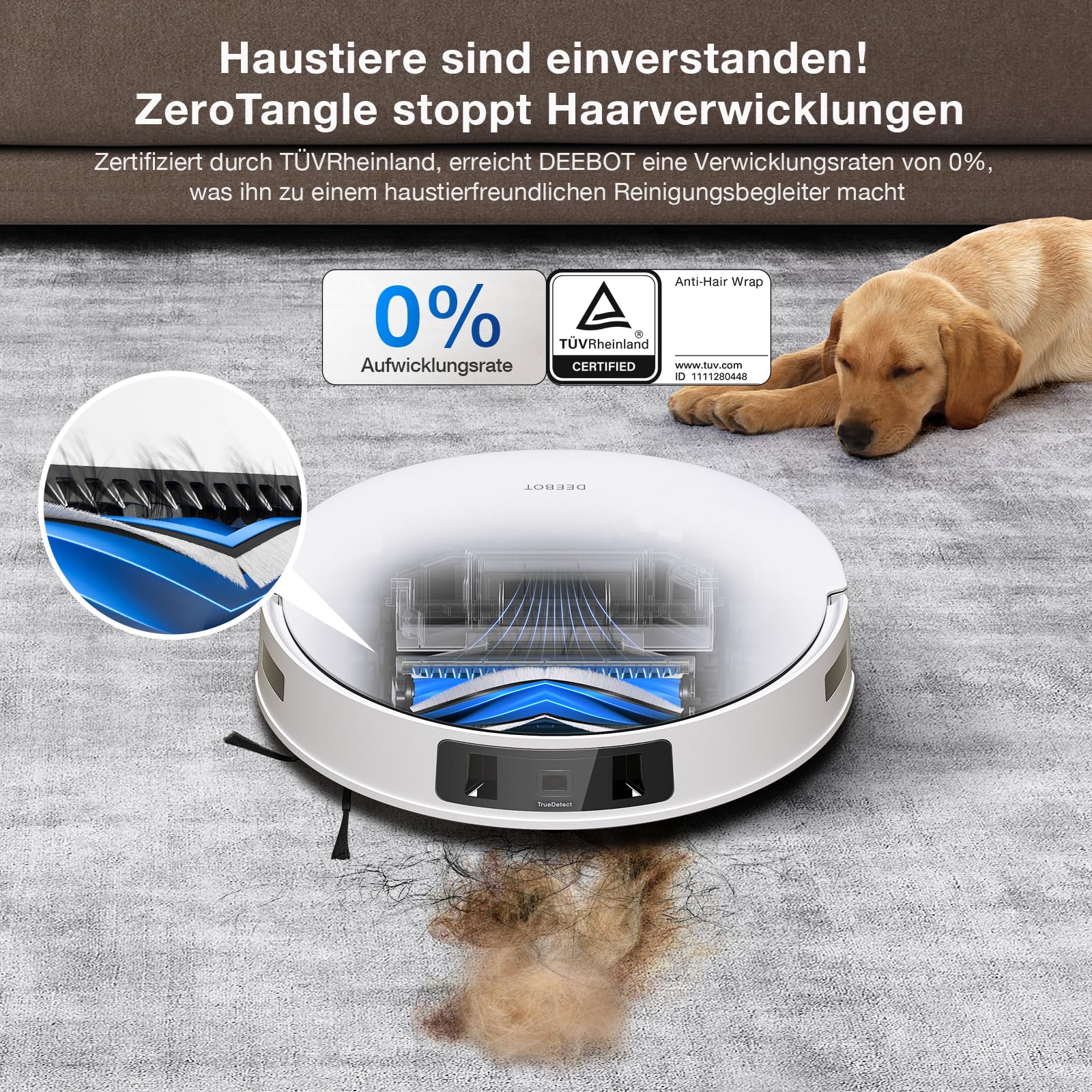 Vorschaubild 6