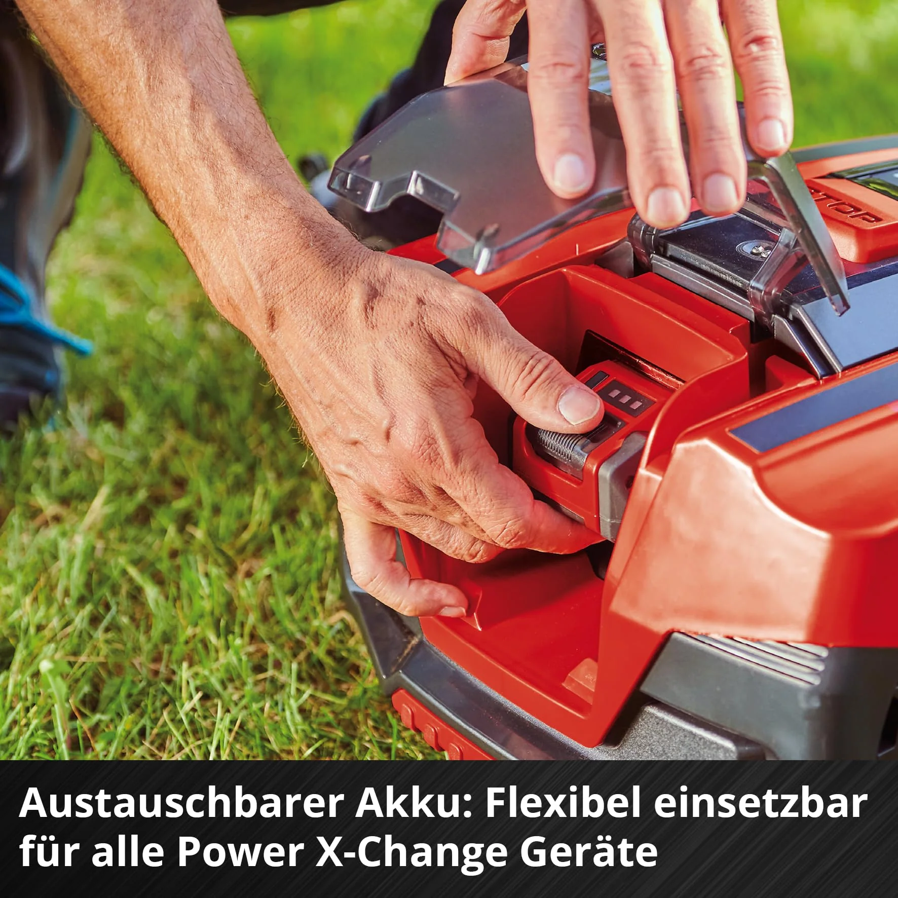 Vorschaubild 7