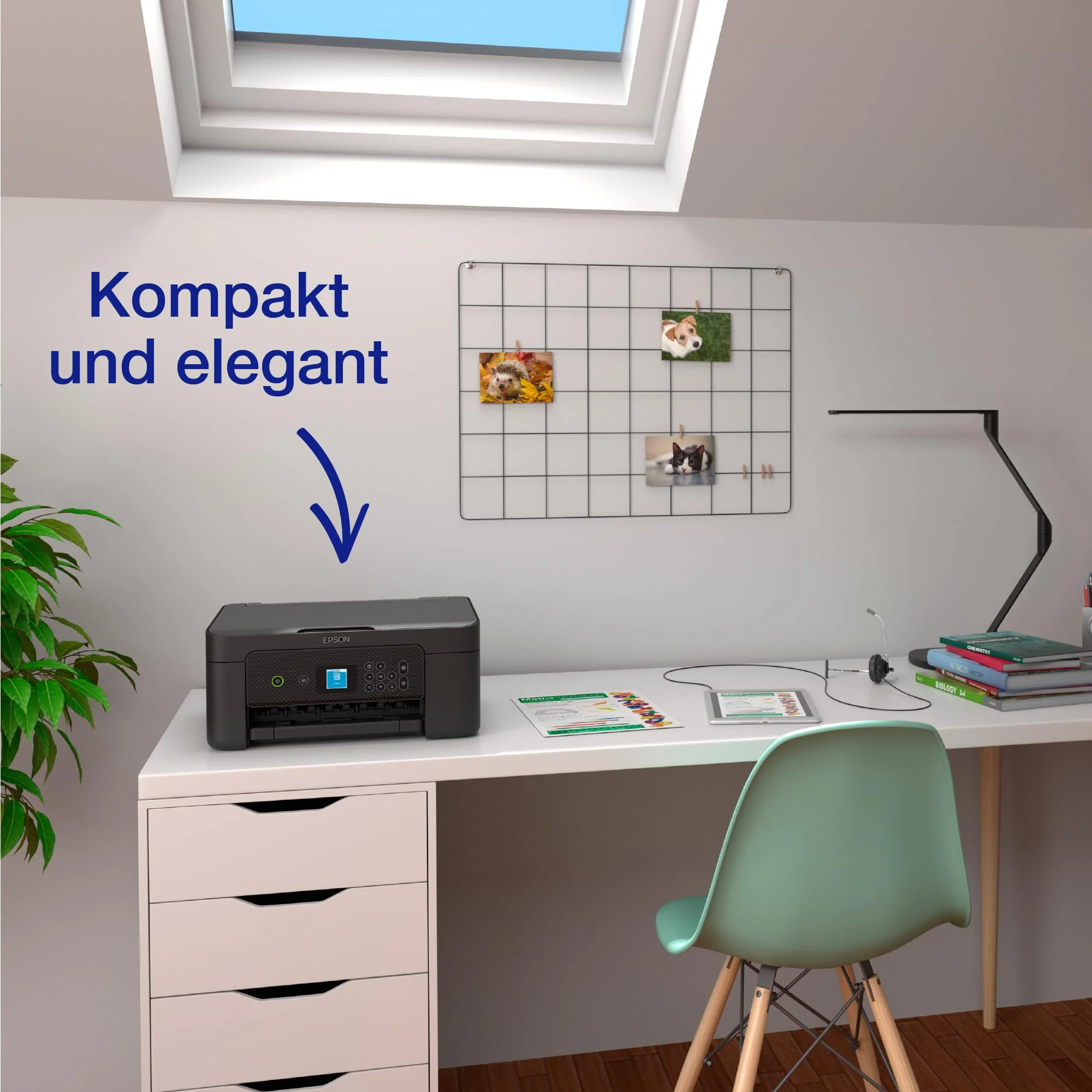 Vorschaubild 7
