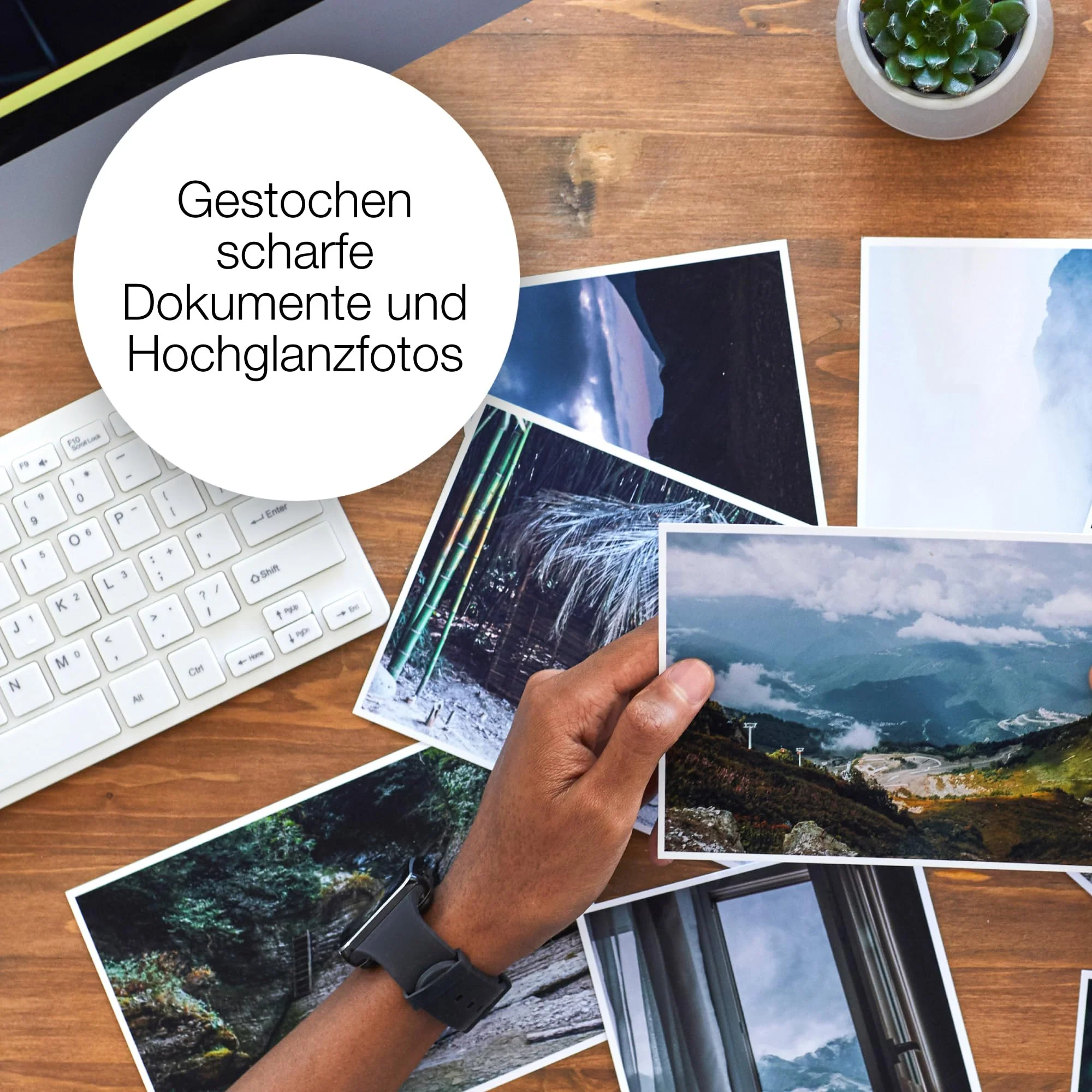 Vorschaubild 4