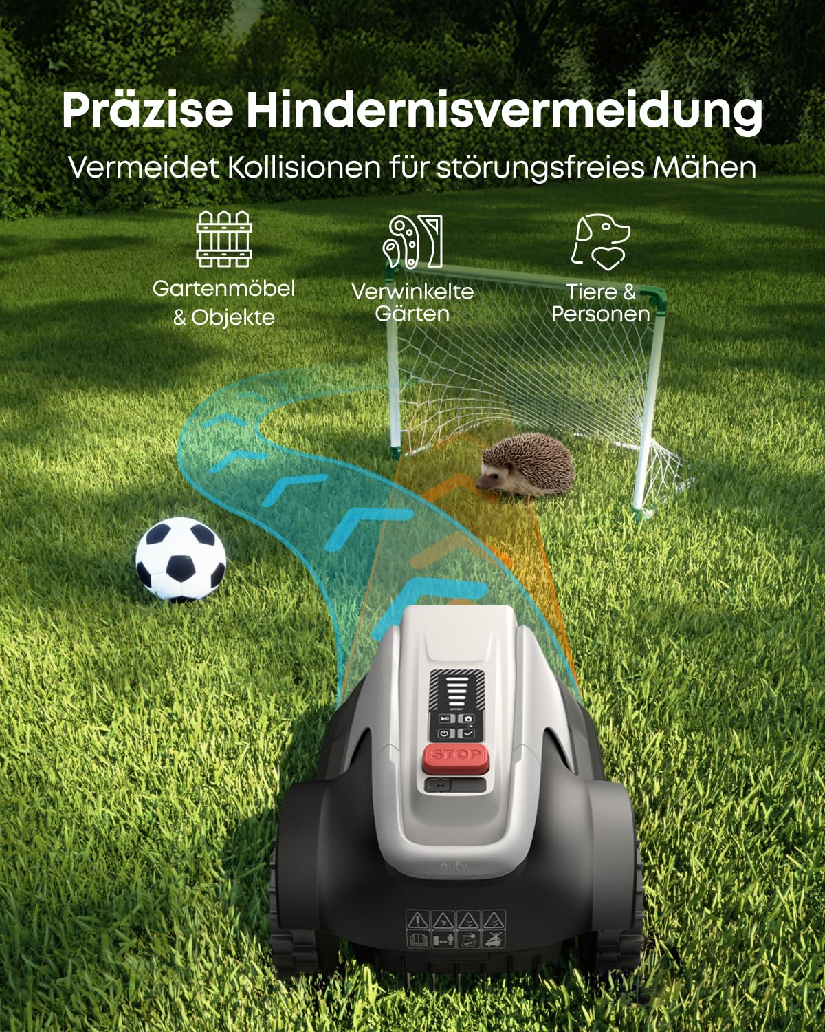 Vorschaubild 8