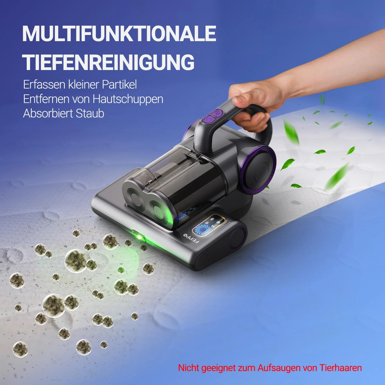 Vorschaubild 7
