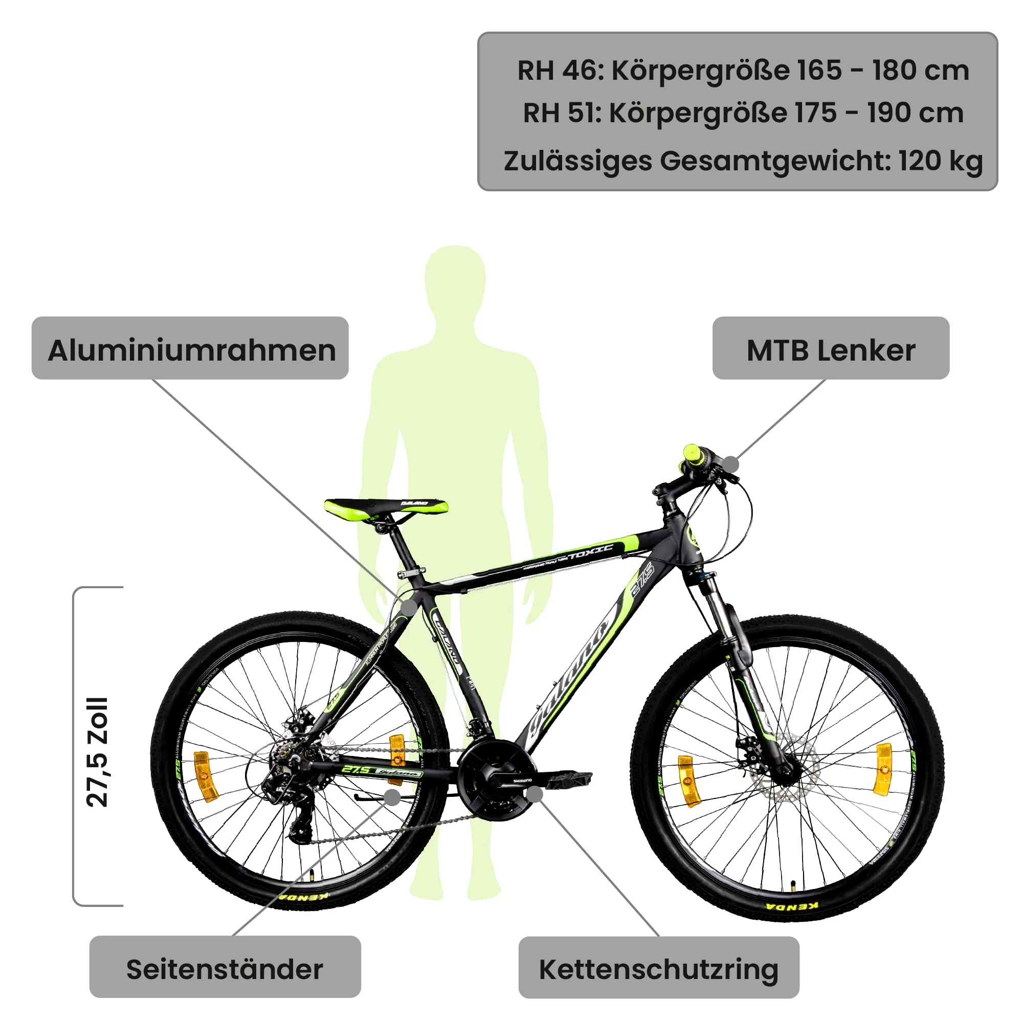 Vorschaubild 5