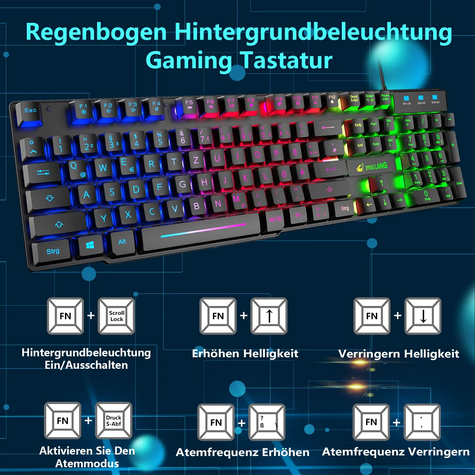 Vorschaubild 8