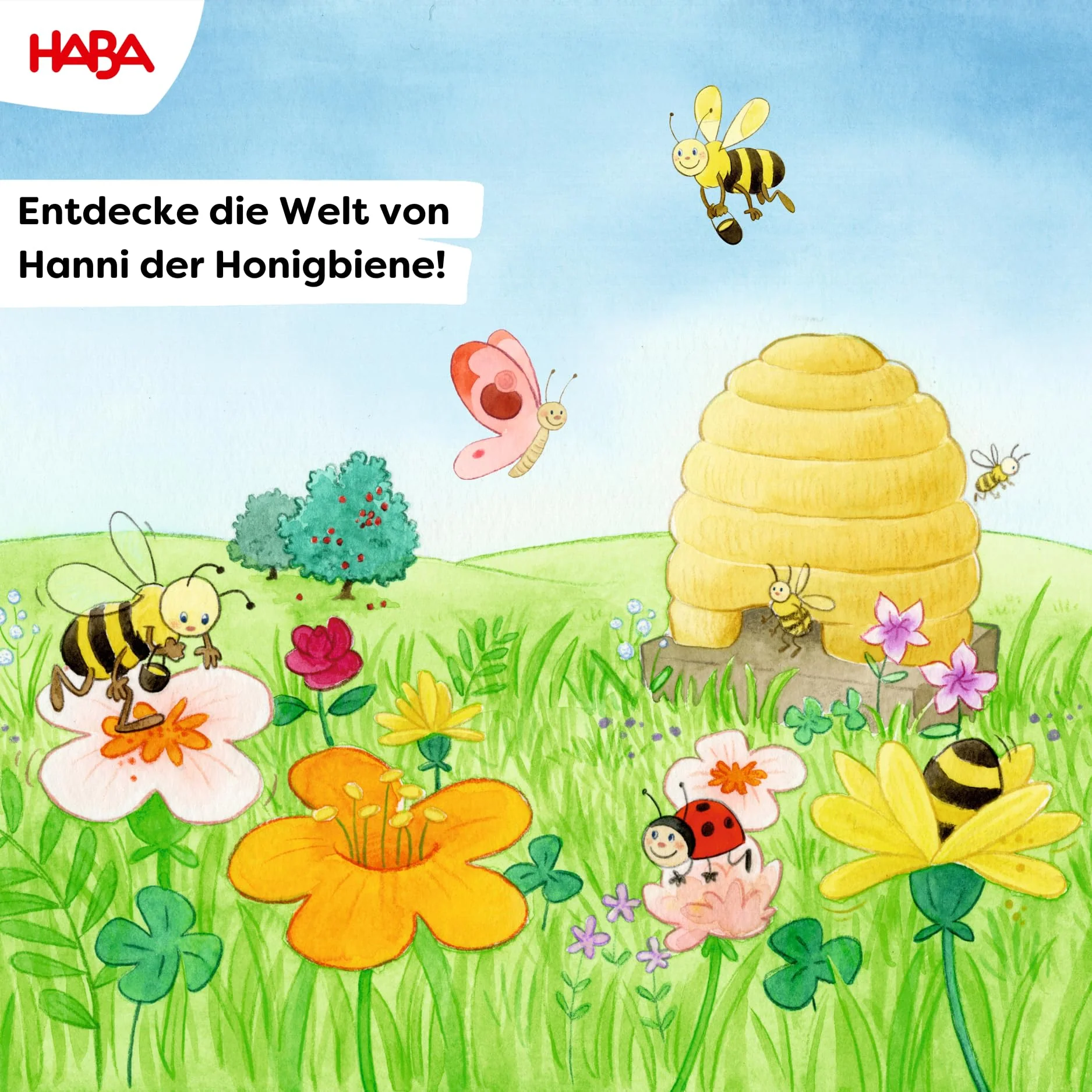 Vorschaubild 3