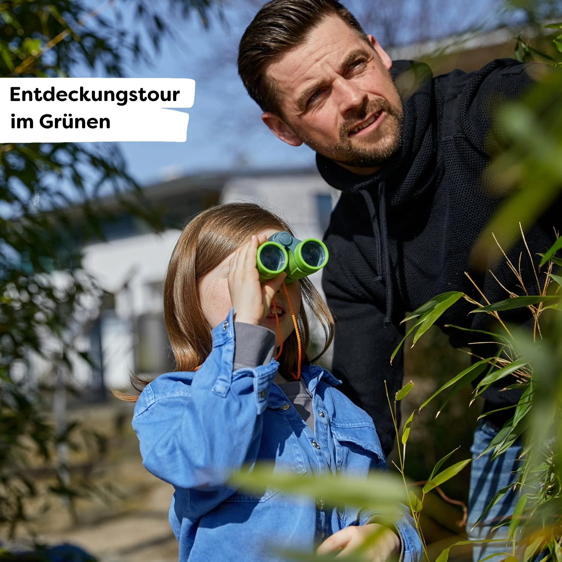 Vorschaubild 5