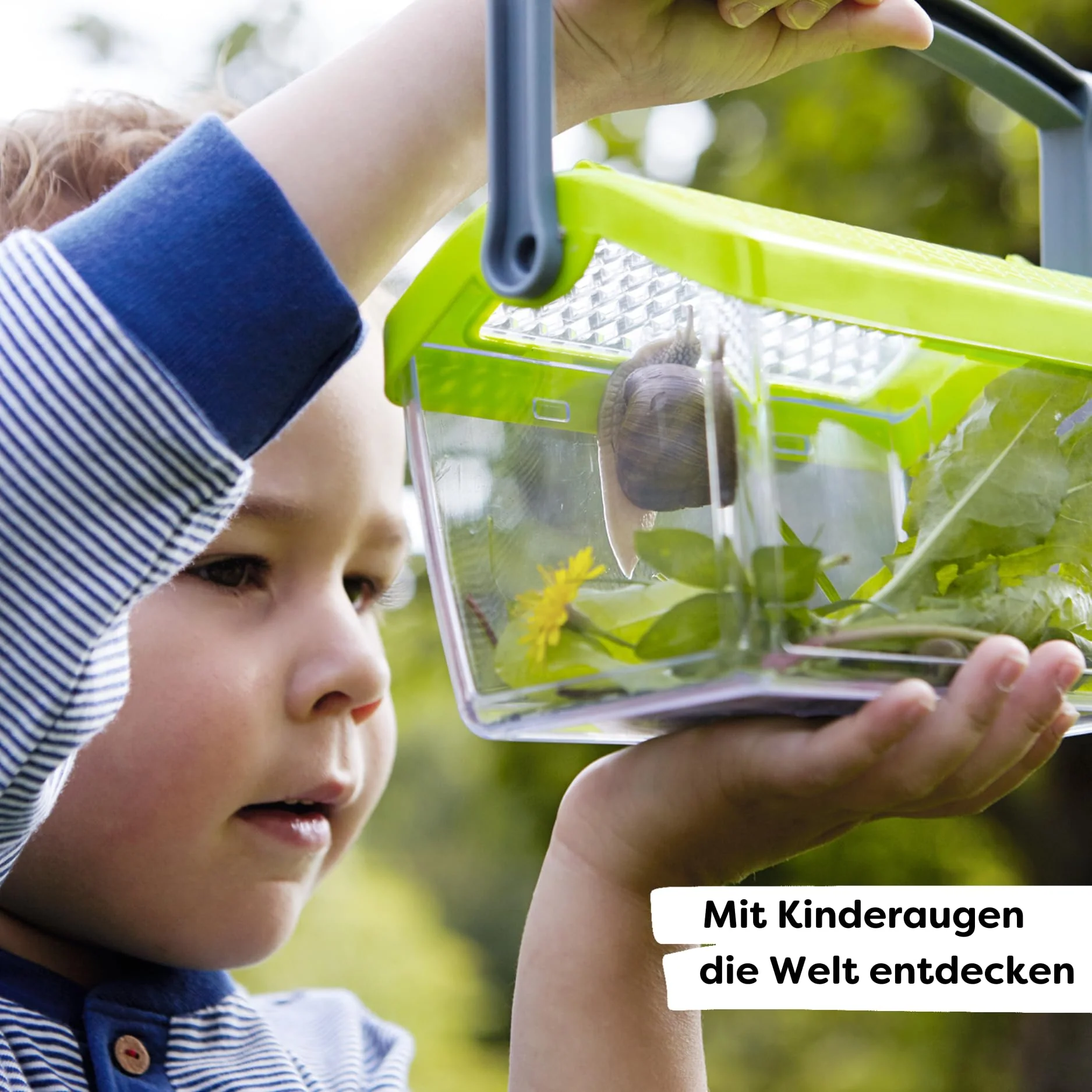 Vorschaubild 7