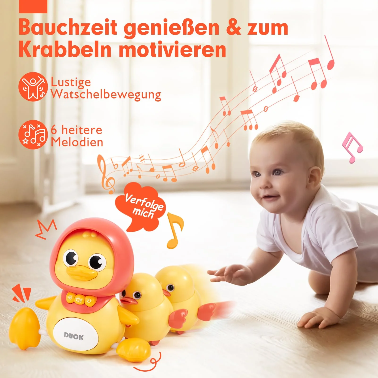 Vorschaubild 5