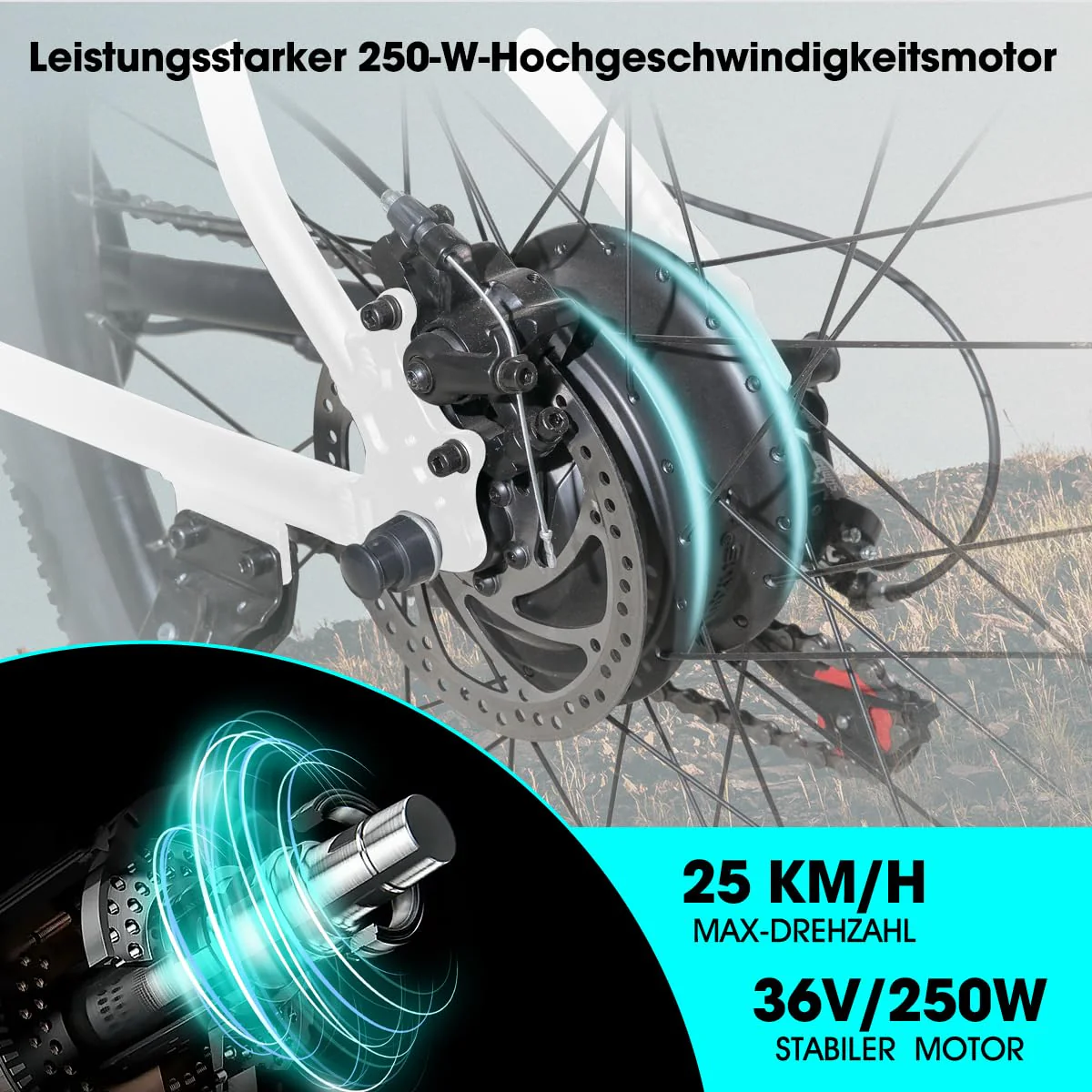 Vorschaubild 7