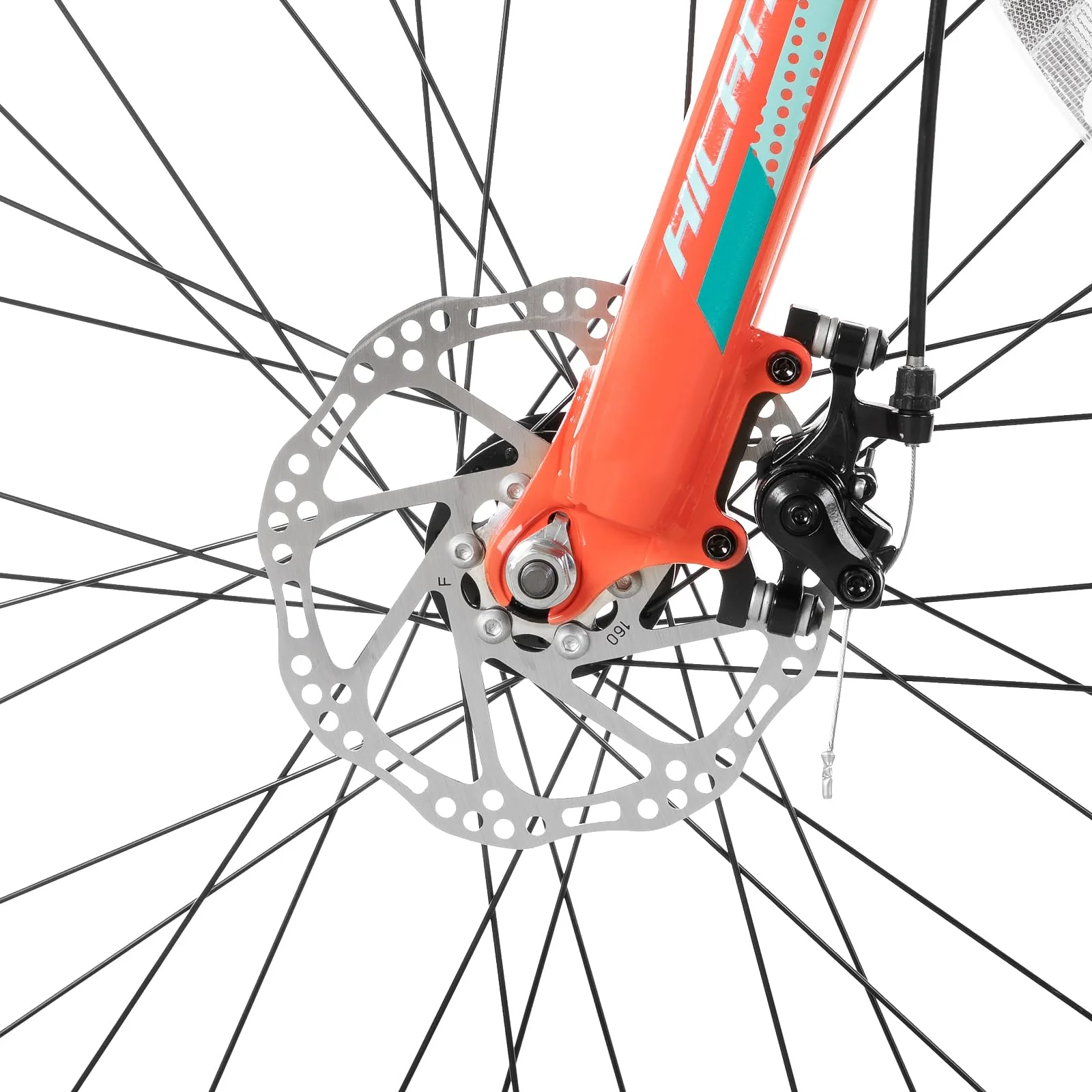 Vorschaubild 11