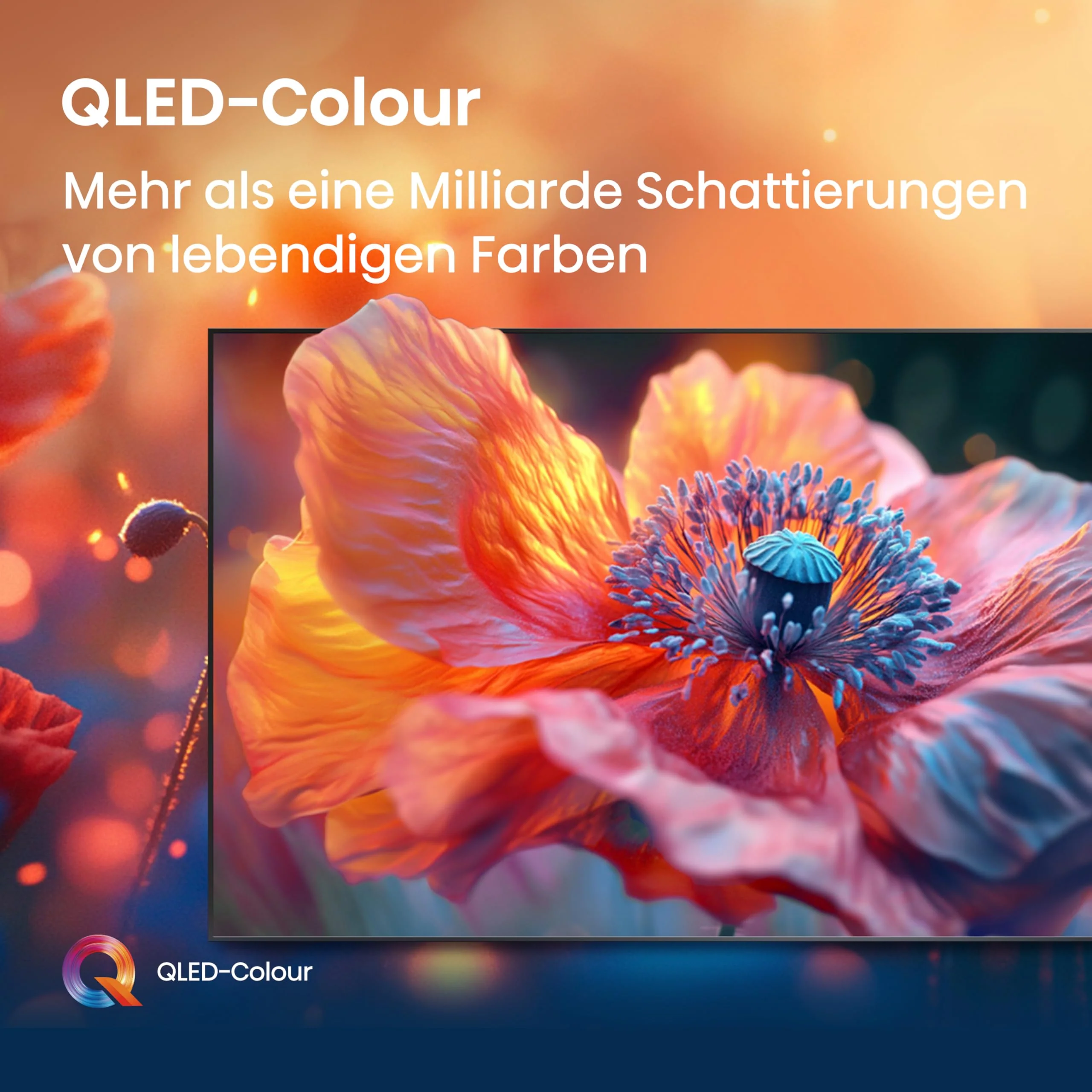 Vorschaubild 11
