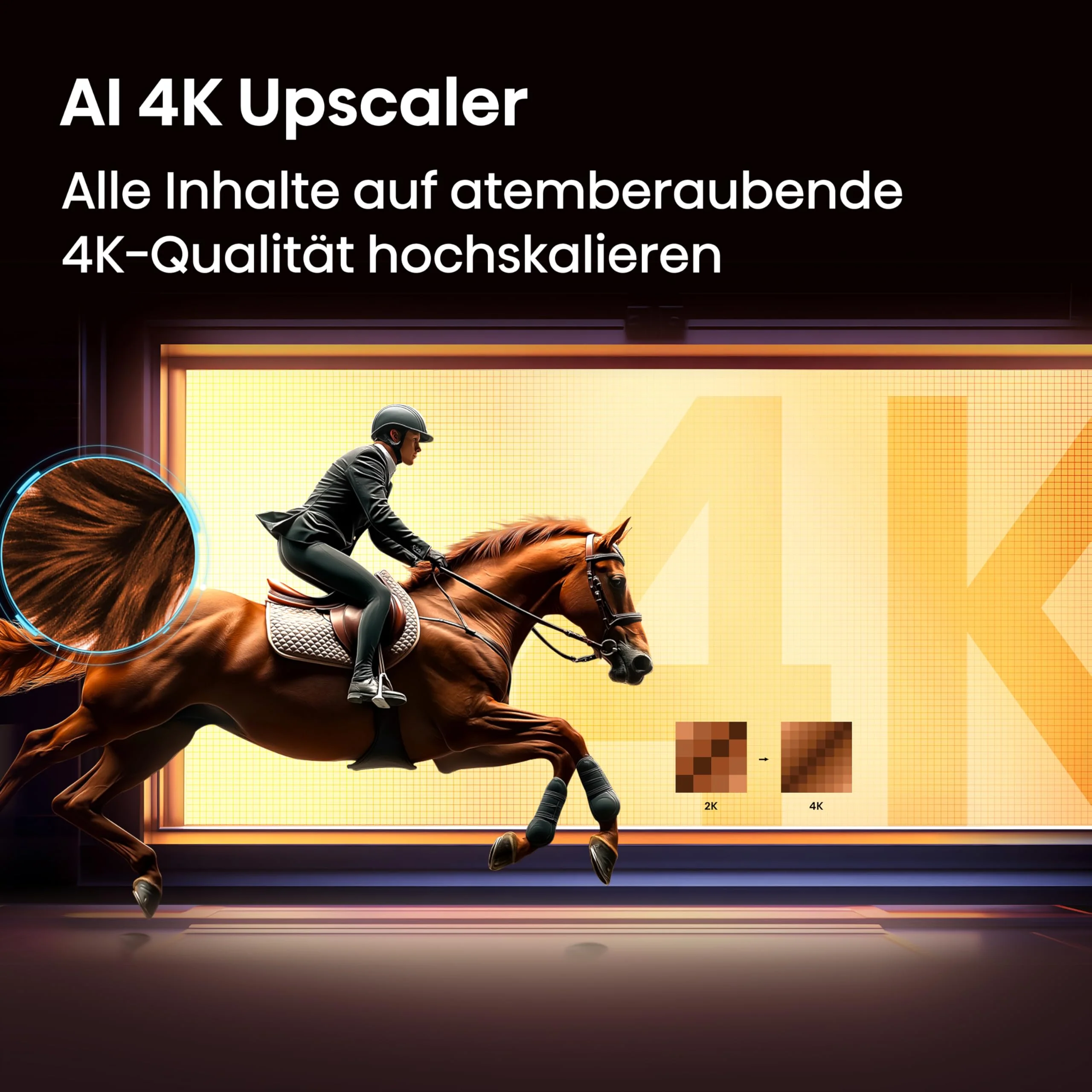 Vorschaubild 12