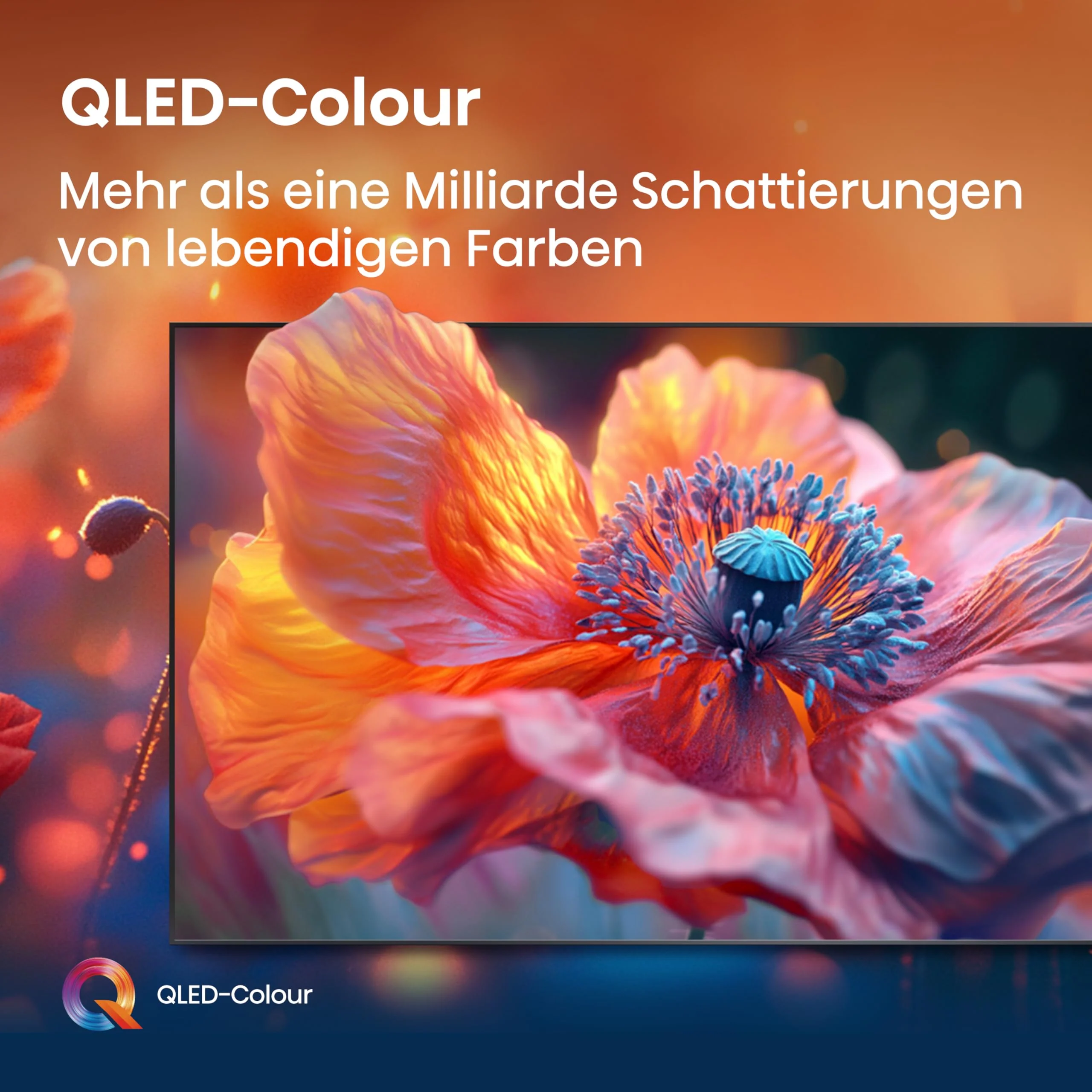 Vorschaubild 11