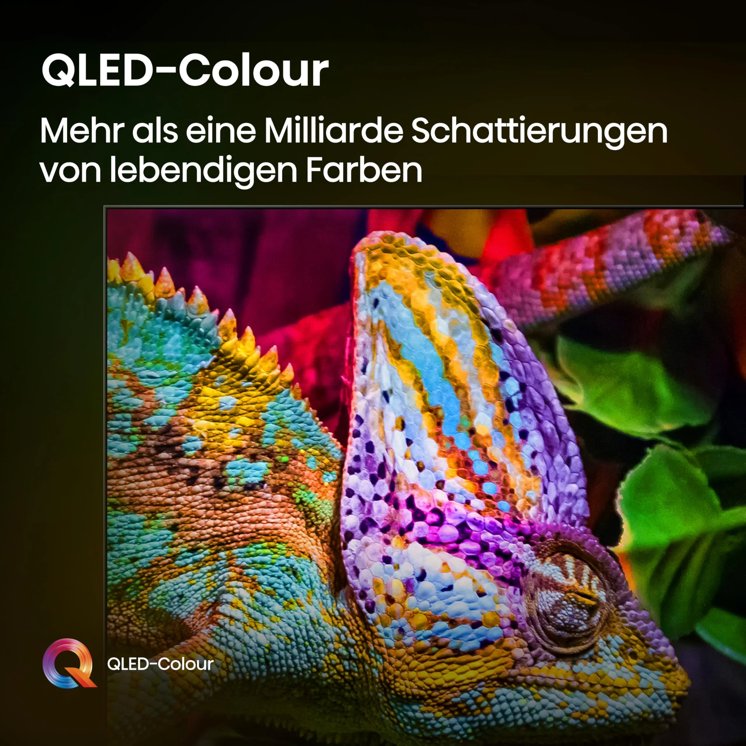 Vorschaubild 12