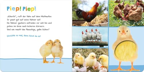Vorschaubild 4