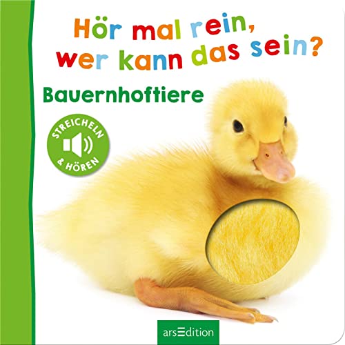 Vorschaubild 5