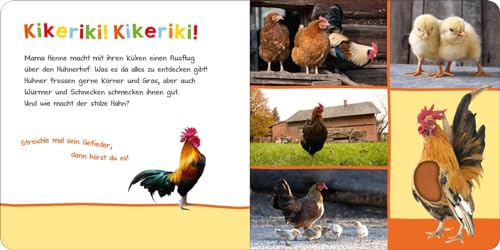Vorschaubild 3