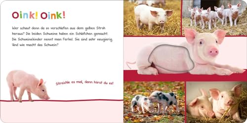 Vorschaubild 4