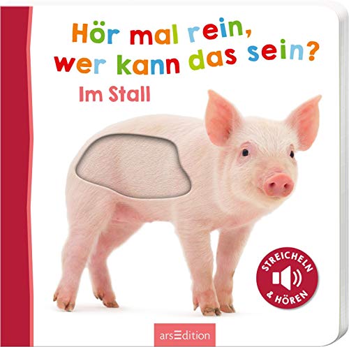 Vorschaubild 5