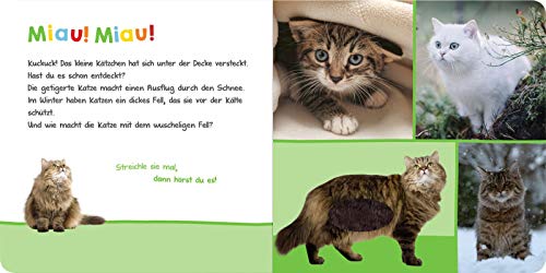 Vorschaubild 4