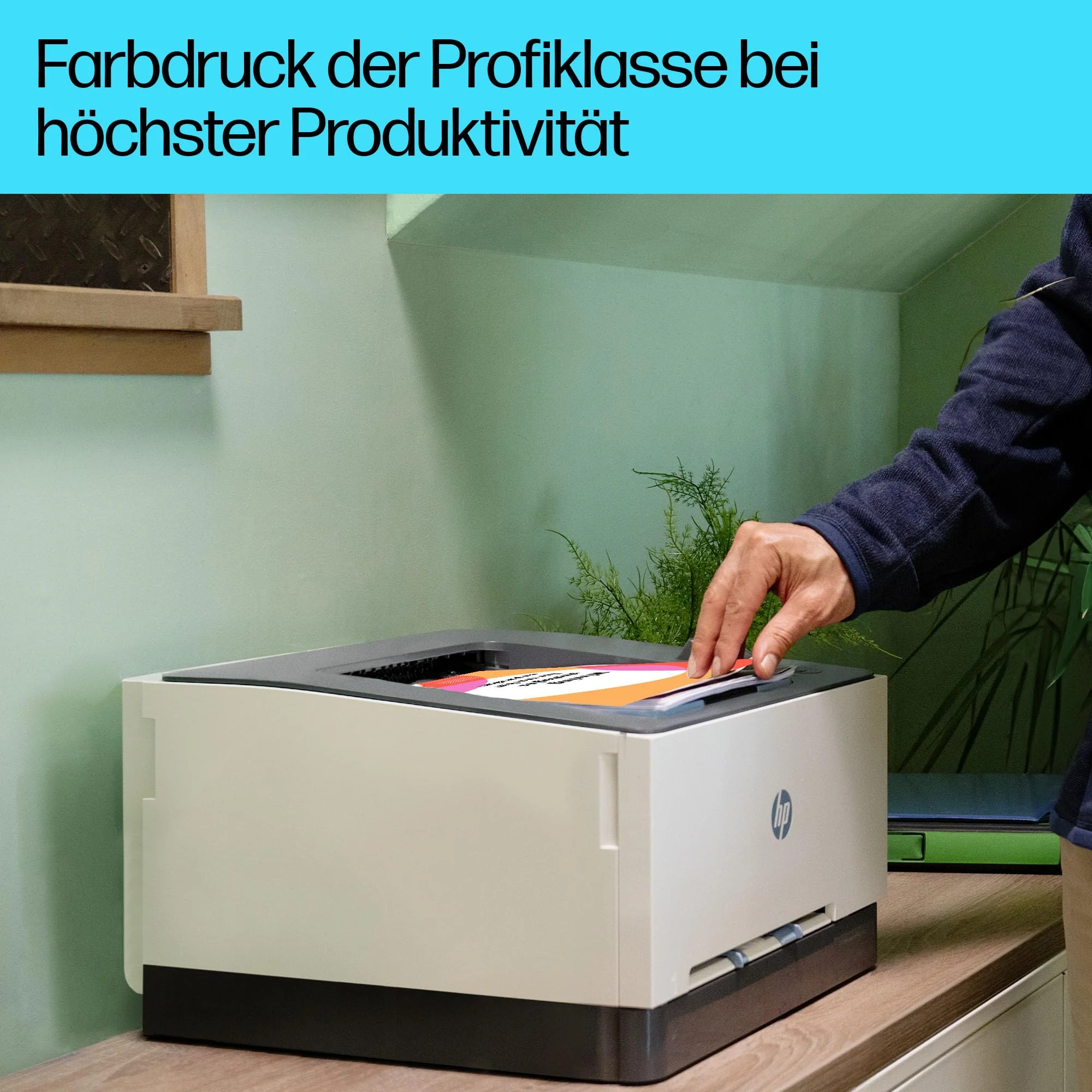 Vorschaubild 5