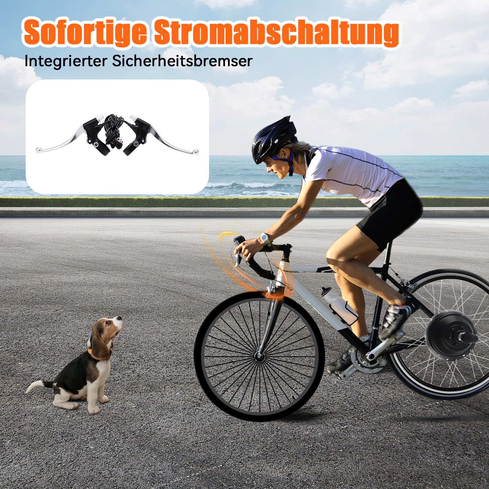 Vorschaubild 5