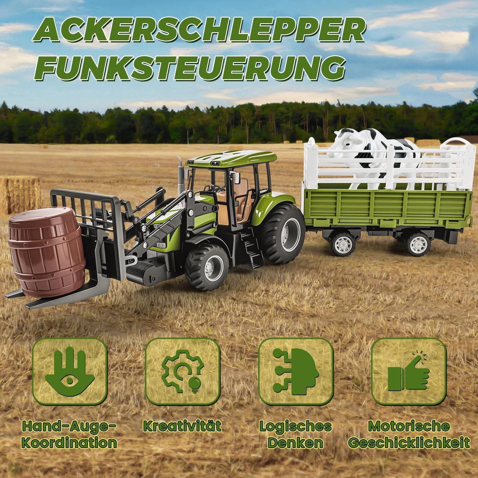 Vorschaubild 5