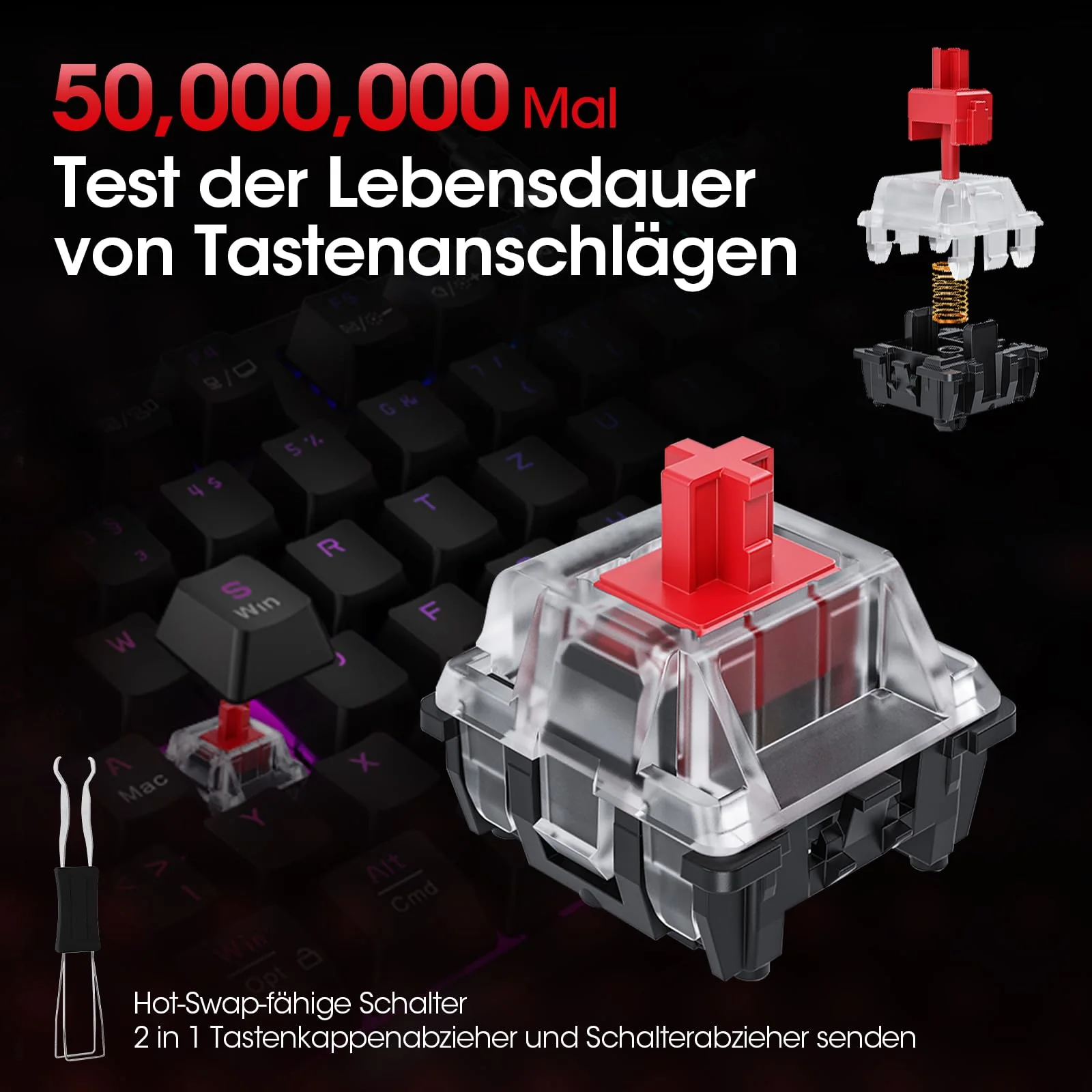 Vorschaubild 3