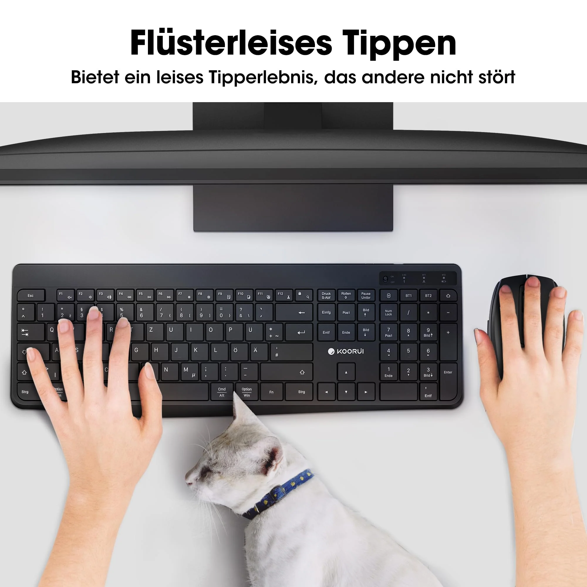 Vorschaubild 3