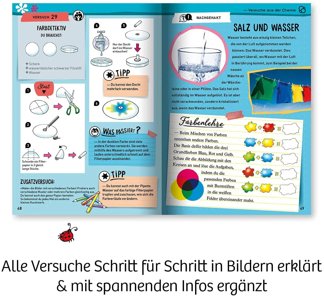 Vorschaubild 3
