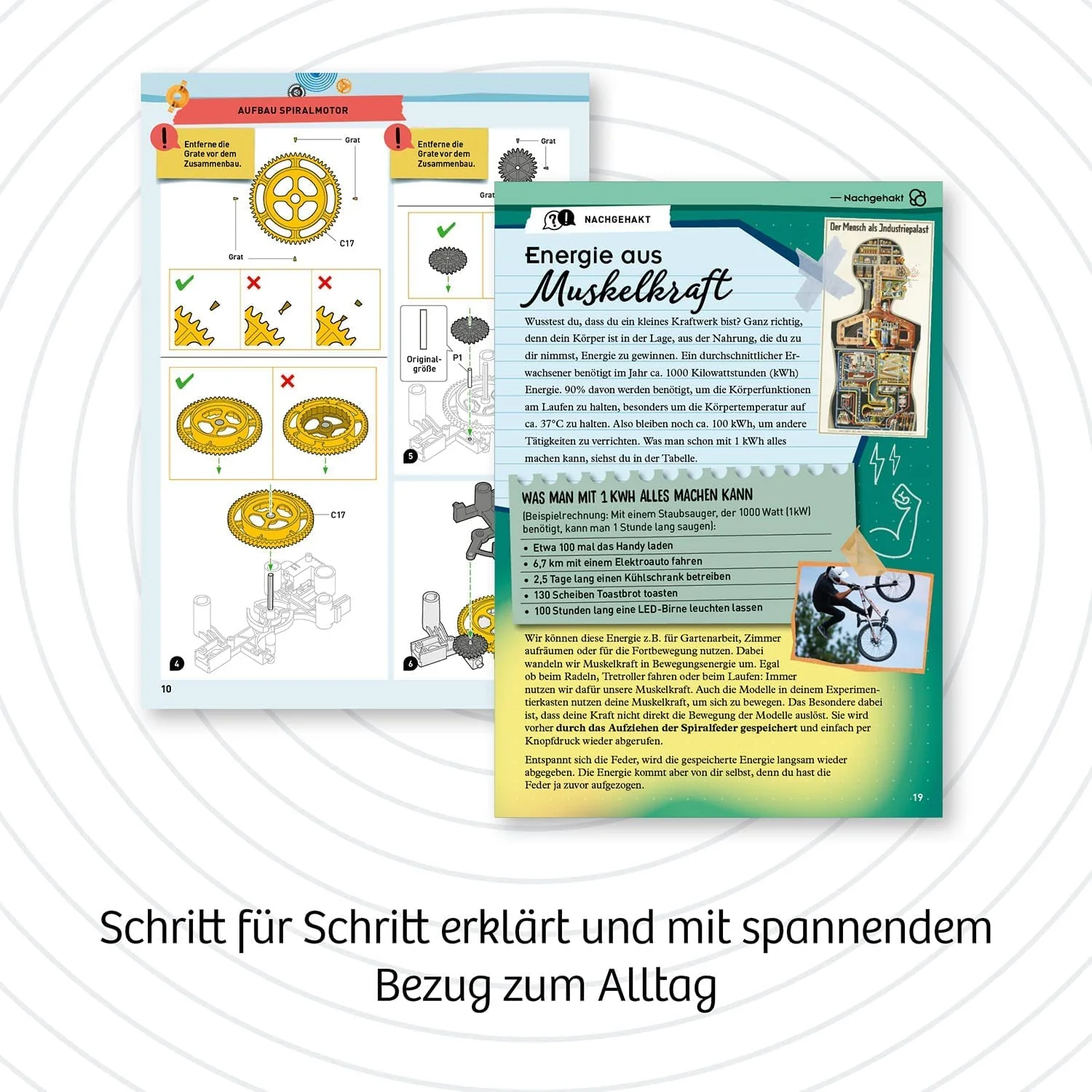 Vorschaubild 3