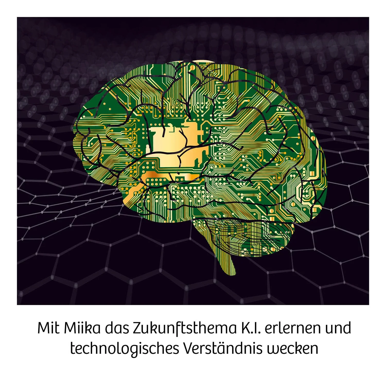 Vorschaubild 5