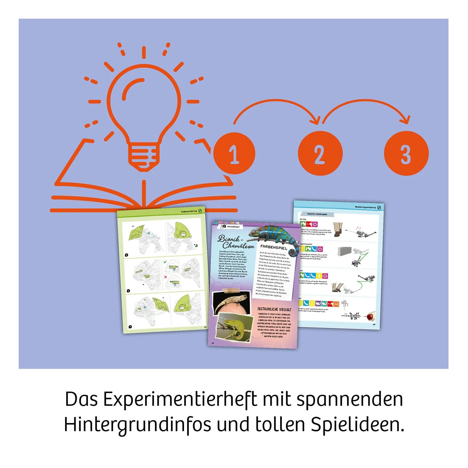 Vorschaubild 4