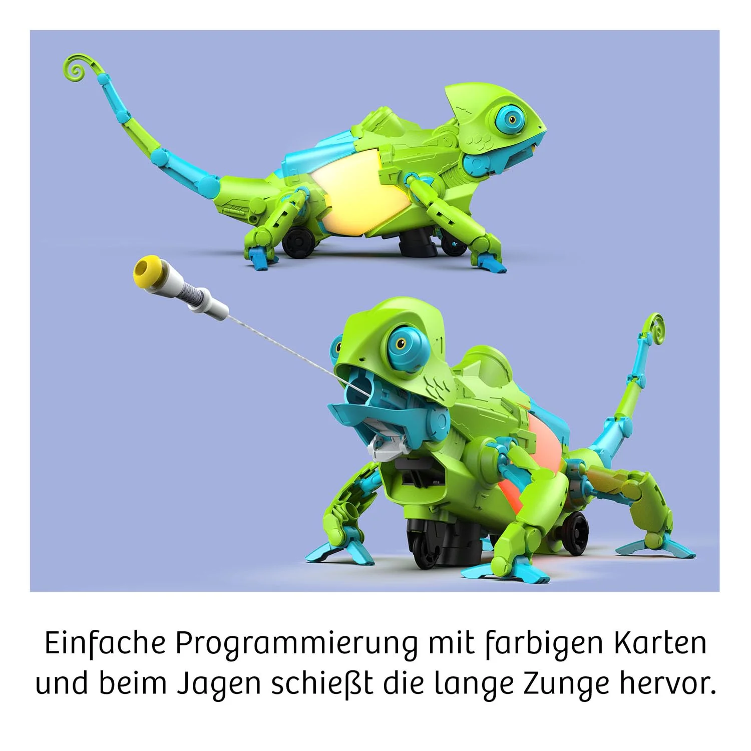 Vorschaubild 6