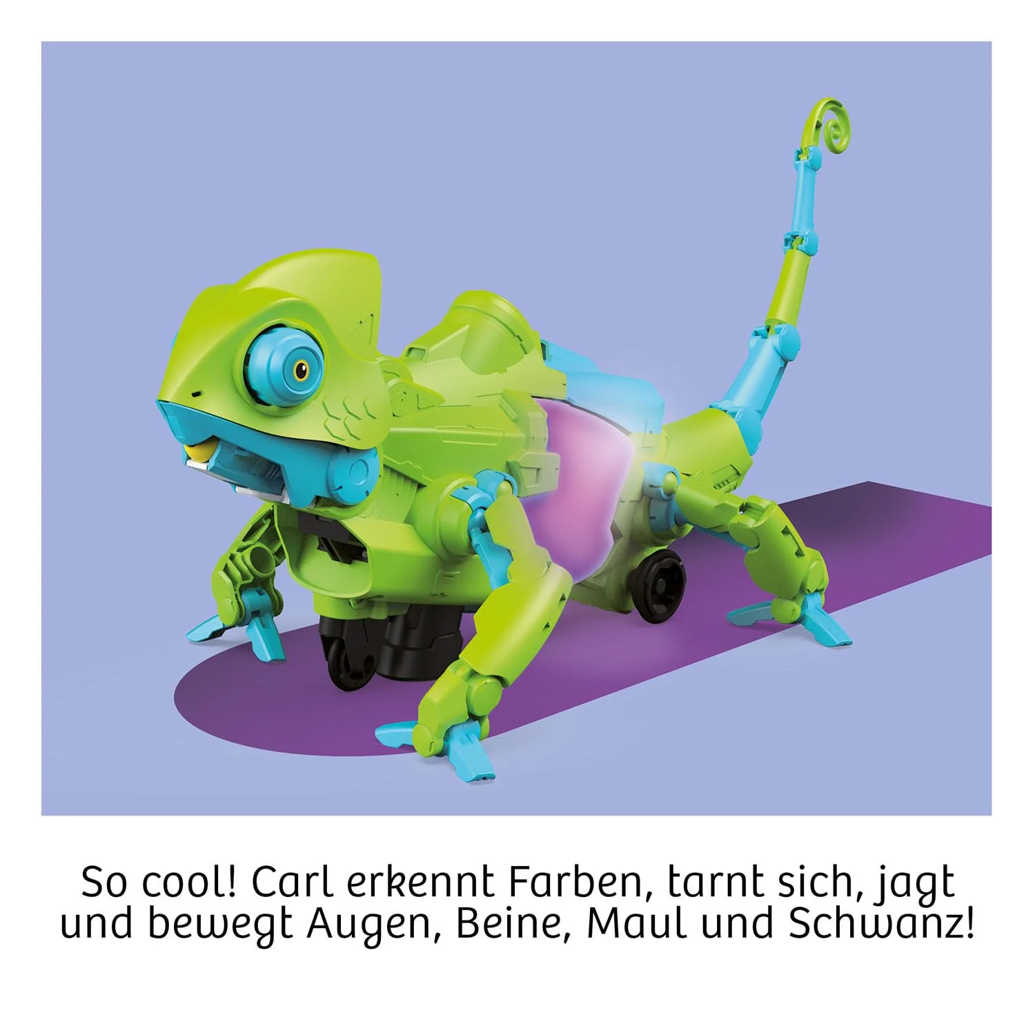 Vorschaubild 7