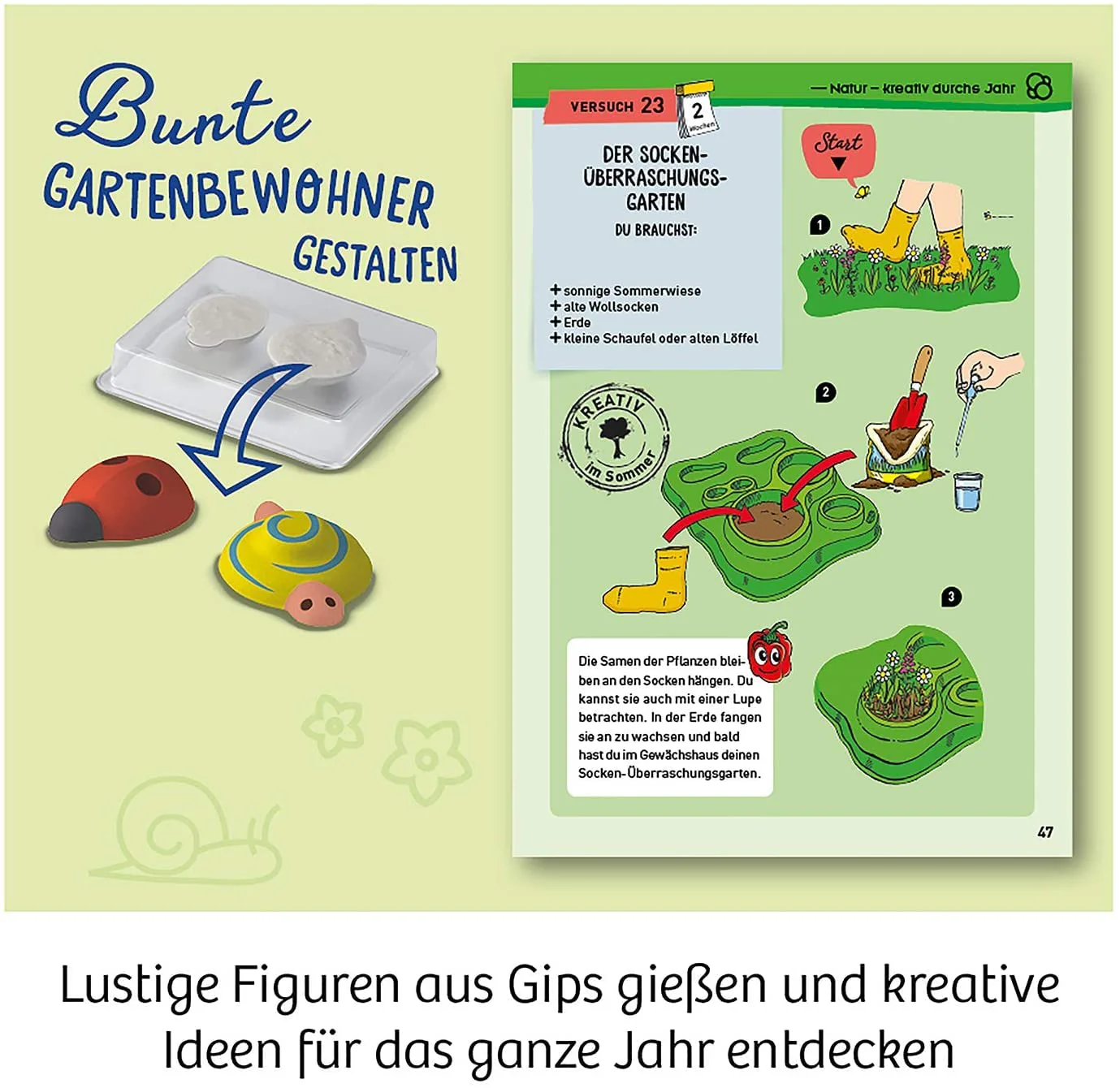 Vorschaubild 3