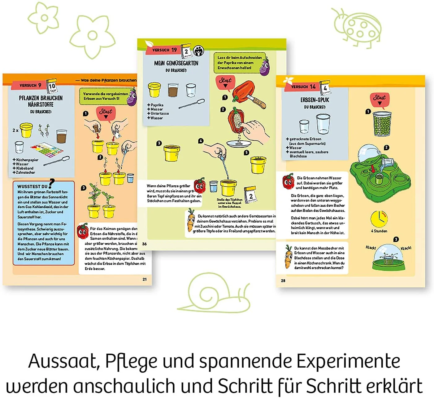 Vorschaubild 5