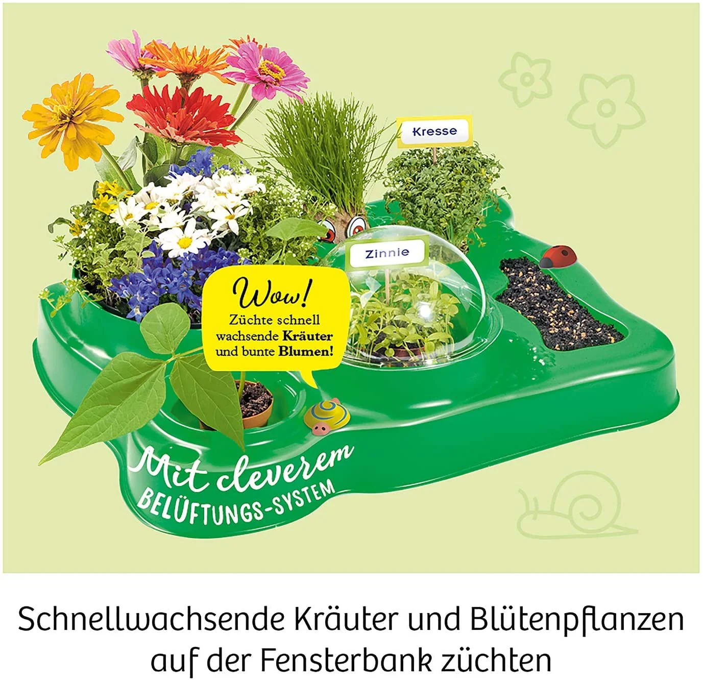 Vorschaubild 6