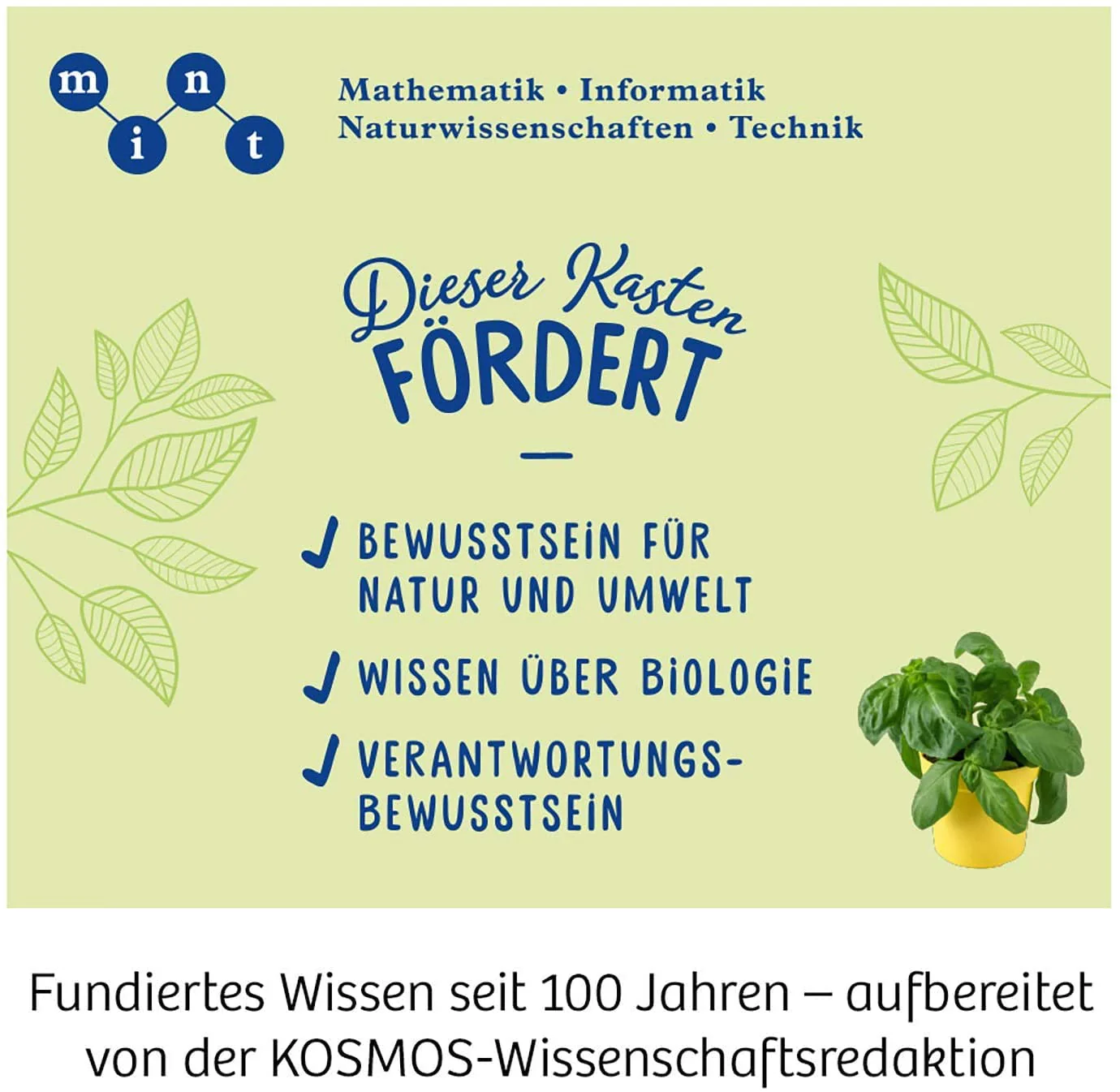 Vorschaubild 3