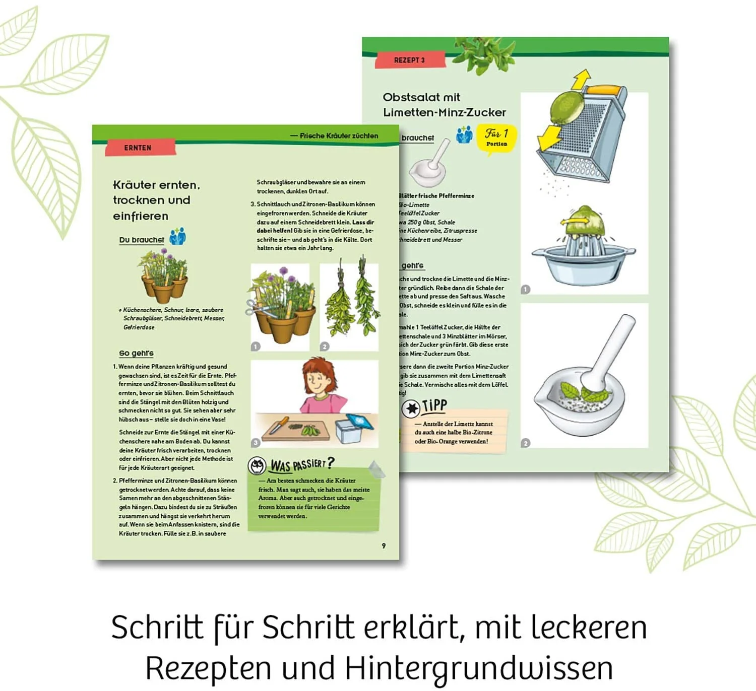 Vorschaubild 4