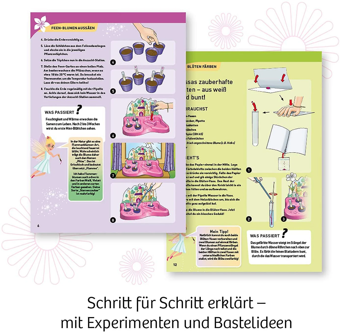 Vorschaubild 3