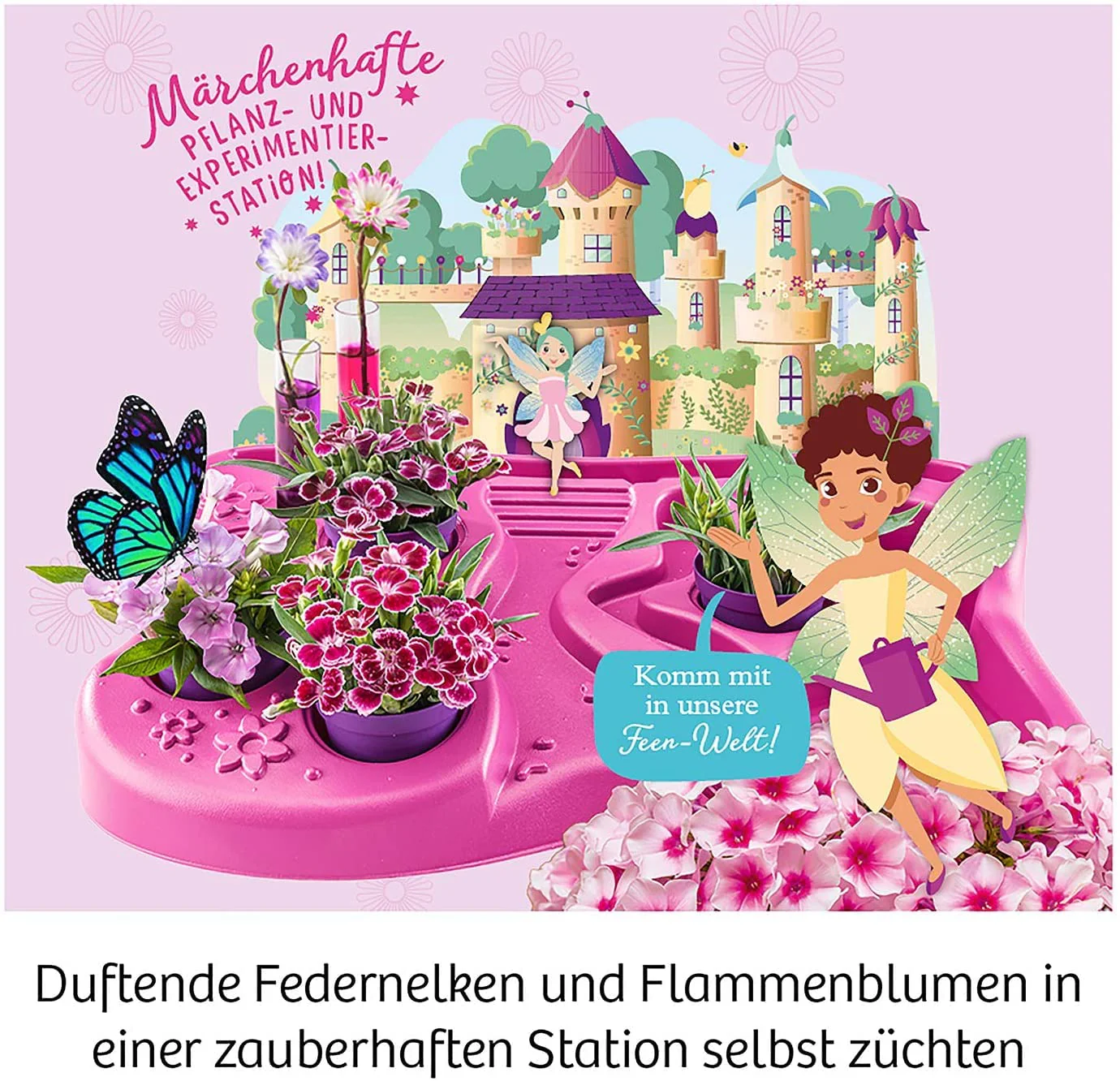 Vorschaubild 5
