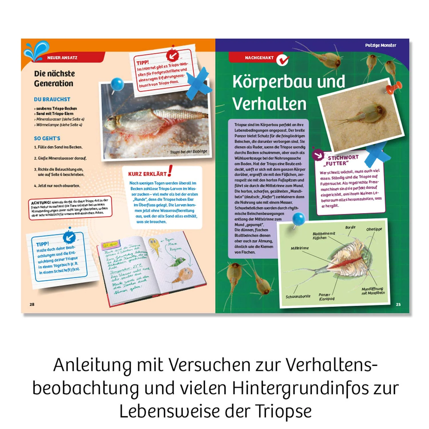 Vorschaubild 4