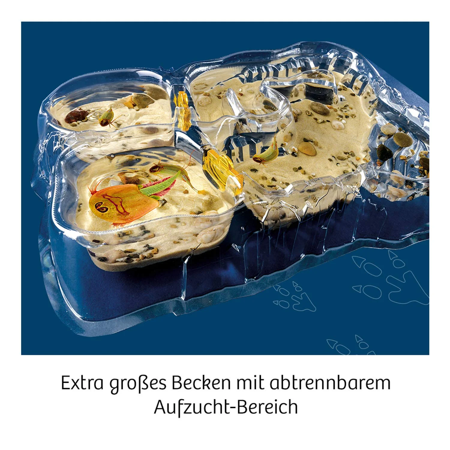 Vorschaubild 6